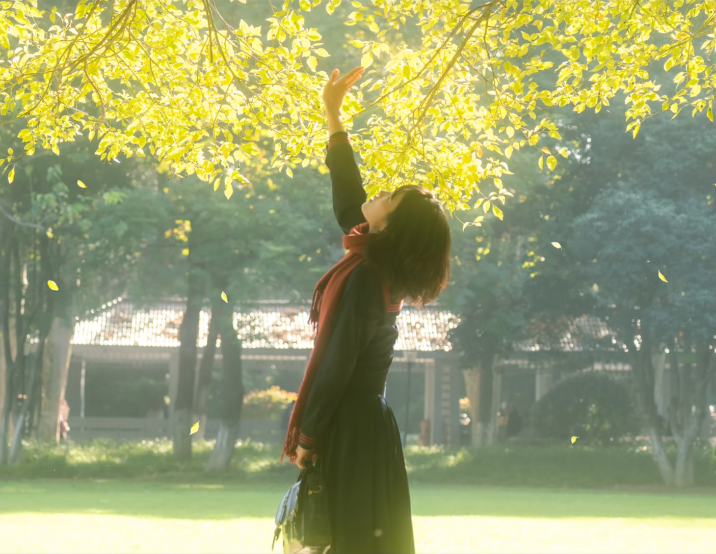 Pasted image 20250325201932.png